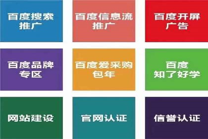 成功SEM推广代运营案例展示